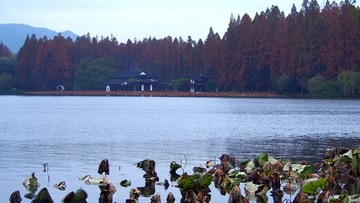 烟雨西湖秋色