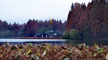 杭州西湖秋景