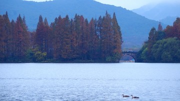 烟雨西湖