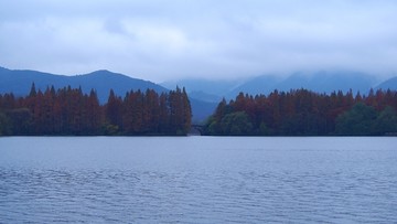 烟雨西湖