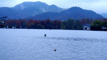 烟雨西湖秋景