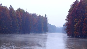 红杉林湖