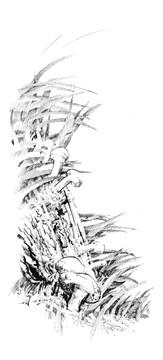 松叢