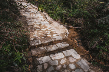 南粤古驿道长南径古道7461