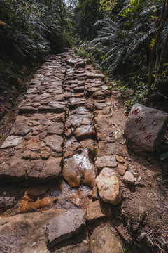 南粤古驿道长南径古道7480