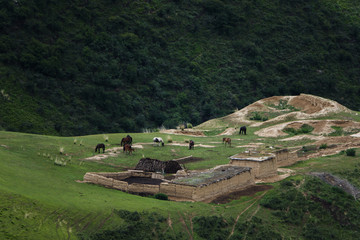 喀拉峻风光