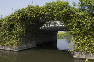 淀山湖古石桥