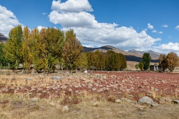 四川稻城桑堆红草滩