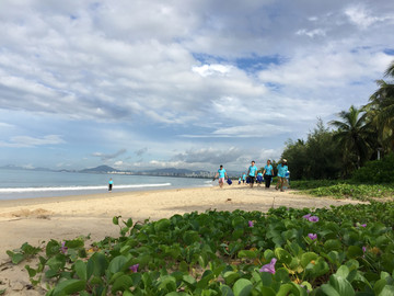 海岸线志愿者