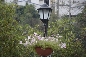 路燈吊花
