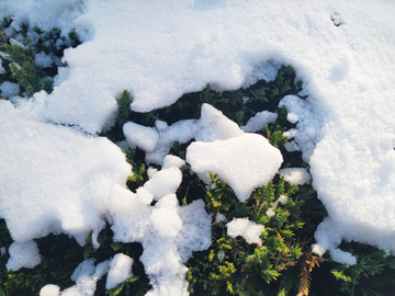 雪景