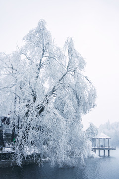 唯美雪景