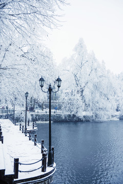 唯美雪景