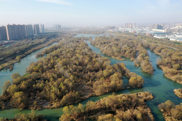 洛阳城市风光