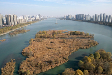 洛阳城市风光