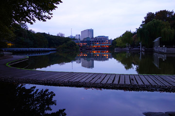 红梅公园夜景