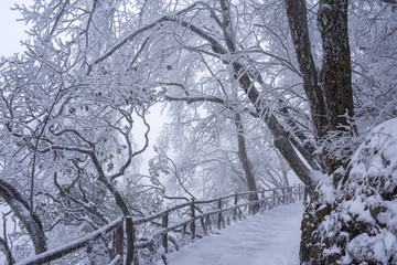 黄山栈道