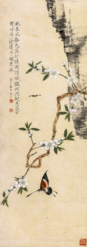 于非闇花蝶圖
