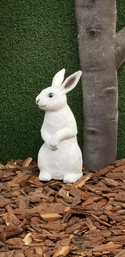 雕塑兔子