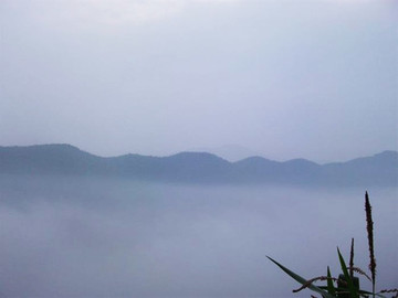 初夏乡村早晨