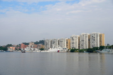 生物久岛对岸楼宇