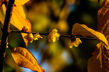 百花潭公园