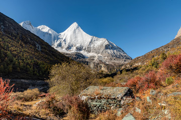 亚丁雪山