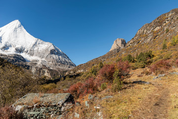 亚丁雪山