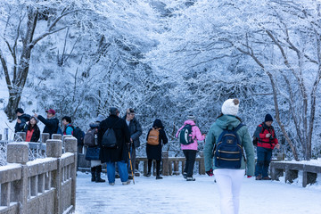 黄山雪景