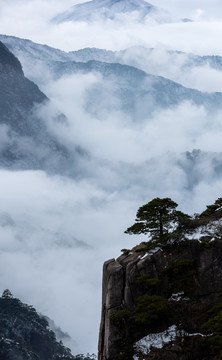 竖幅水墨黄山