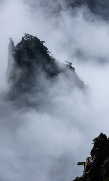 竖幅水墨黄山