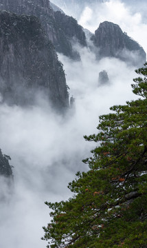 竖幅水墨黄山