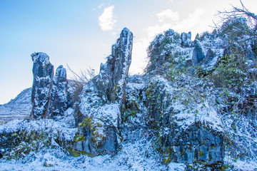 雪景