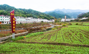 金庸祖籍婺源凤山乡