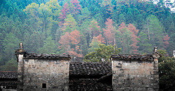 金庸祖籍婺源凤山乡