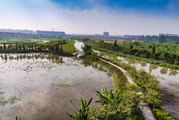 华阳湖湿地公园