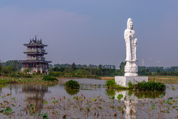 东莞华阳湖