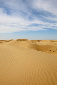库布齐沙漠深处腹地