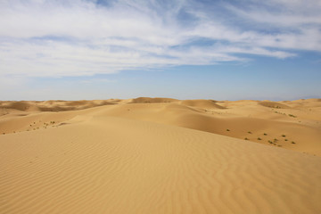 沙漠腹地深处无人区