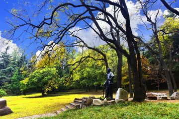 青岛百花苑公园