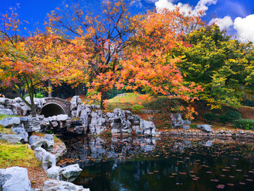 青岛百花苑公园