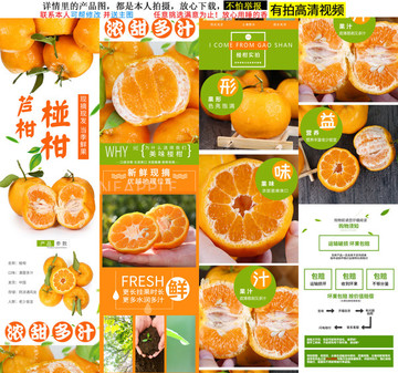 椪柑詳情