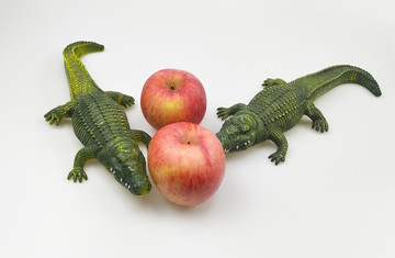 鳄鱼和苹果