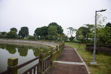 乡村风景