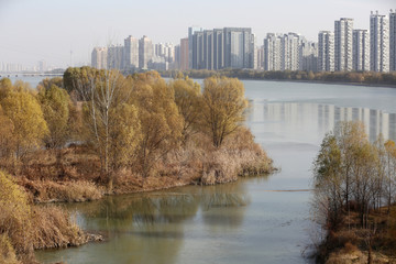 洛阳城市湿地