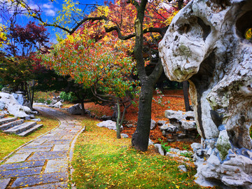 青岛百花苑公园