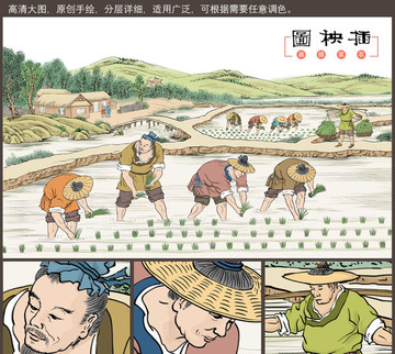 古代水稻插秧圖