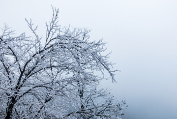 雪景