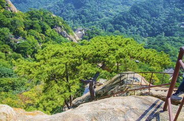 千山无量观景区山腰松树