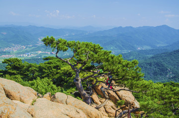 千山无量观七重天松鼠拜日与松树